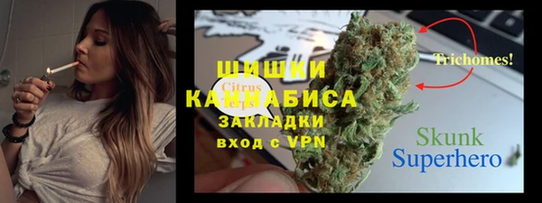 ПСИЛОЦИБИНОВЫЕ ГРИБЫ Арсеньев