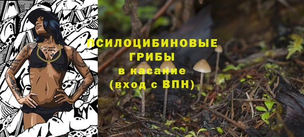 а пвп мука Армянск