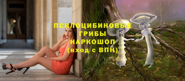 а пвп мука Армянск