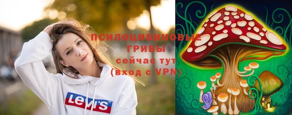 а пвп мука Армянск